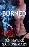 Burned 2 (Beautiful Mess, #2)