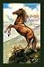 Mighty Stallion 2 Fury's Jo...