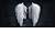 Broken Wings (Legend Of The...