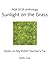 AQA GCSE Anthology: Sunlight on the Grass, Notes on My Polish Teacher's Tie