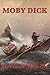 Moby Dick (Start Publishing)