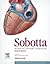 Sobotta Atlas of Human Anat...