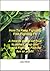 How to keep Fighting Fish F...