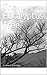 The Eucalyptus Tree (Dreams...