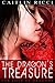 The Dragon's Treasure (For Love of Dragons, #1)