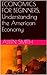 Economics for beginners: Understanding the American Economy