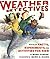 Weather Detectives, The