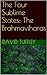 The Four Sublime States: The Brahmaviharas: Contemplations on Love, Compassion, Sympathetic Joy & Equanimity (The Dharma Chronicles: Walking the Buddhist Path)