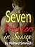 Seven Murders In Sussex: (Reilly Swanson Mystery Book 1)