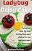 Ladybug on a Daisy Cake: Complete Step by Step Instructions and Photos for the Beginner Cake Decorator