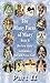The Many Faces of Mary Book II Part II