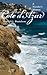 A Traveler's History of Cote d'Azur (travel, history)