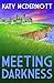 Meeting Darkness (The Meeting Mysteries Book 2)