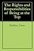 The Rights and Responsibilities of Being at the Top by Stever Robbins