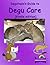 Degutopia's Guide to Degu Care