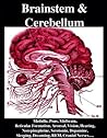 Brainstem and Cerebellum: Medulla, Pons, Midbrain, Reticular Formation, Arousal, Vision, Hearing, Norepinephrine, Serotonin, Dopamine, Sleeping, Dreaming, REM, Cranial Nerves, Motor Control,