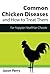 Chicken Diseases: Common Ch...