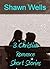 3 Christian Romance Short S...