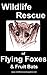 Wildlife Rescue of Flying Foxes and Fruit bats
