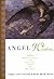 Angel Wisdom by Terry Lynn Taylor Angel Wisdom by Terry Lynn Taylor