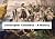 Christopher Columbus - A Hi...