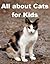 All about Cats for Kids