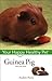 Guinea Pig by Audrey Pavia