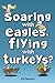 Soaring with Eagles, Flying with Turkeys?: An inspirational journey of travel and adventure, helping others across the world