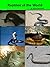 Reptiles of the World by Gerald Schloemer