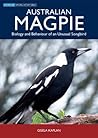 Australian Magpie...