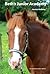 Beth's Junior Academy (Pony Showjumping Series Book 2)