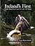 Ireland's First (White Tail...