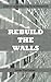 Rebuild the Walls: Lessons ...