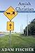 Amish to Christian : Addict...