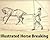 Illustrated Horse Breaking