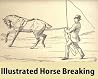 Illustrated Horse Breaking
