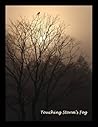 Touching Storm's Fog (Colorado Storm Series)