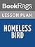 Lesson Plans Homeless Bird