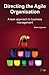 Directing The Agile Organisation: A lean approach to business management