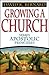 Growing a Church by David K. Bernard
