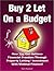 Buy to Let on a Budget - How You Can Achieve Financial Freedom Through Property Letting / Investment With Minimal Finance!