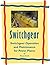 Switchgear Operation and Maintenance for Power Plants (Electrical Power Plant Maintenance Book 1)