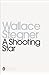 A Shooting Star (Penguin Modern Classics)