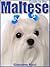 Guide to the Maltese