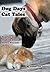 Dog Days Cat Tales: Stories to share with your furry