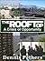 The Rooftop by Dennis Pethers