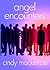Angel Encounters