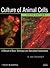Culture of Animal Cells: A Manual of Basic Technique and Specialized Applications