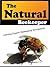 The Natural Beekeeper: Learning Organic Beekeeping Successfully