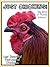 Just Chicken Photos! Big Book of Photographs & Pictures of Chickens, Chicks, Hens, & Roosters, Vol. 1